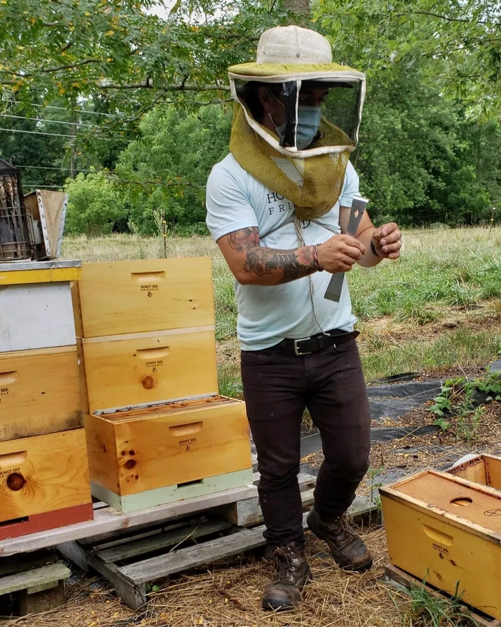 Beekeeping workshop at Dickinson Farm